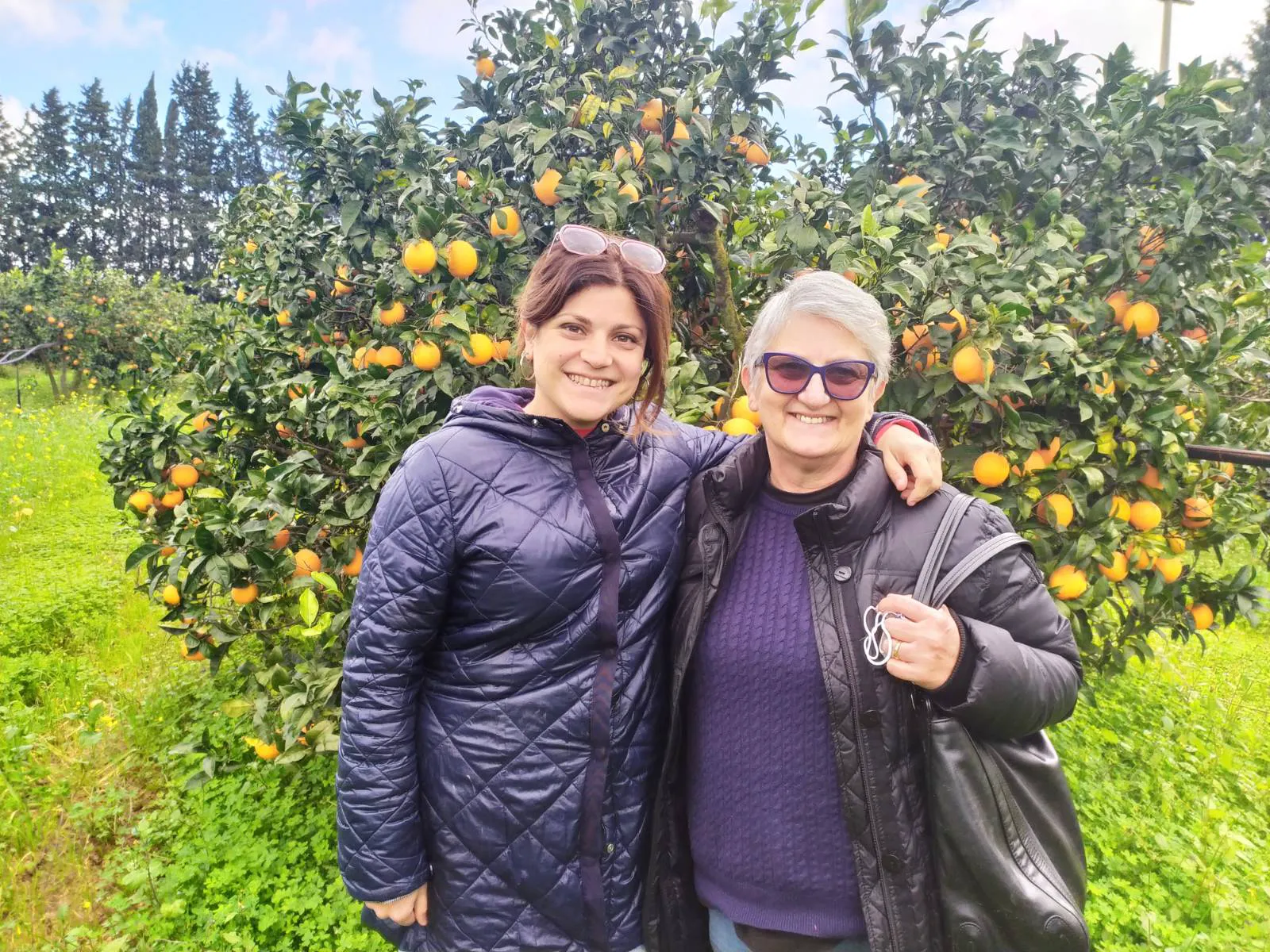 Bio-Orangen aus dem Belíce-Tal, Sizilien (Italien)