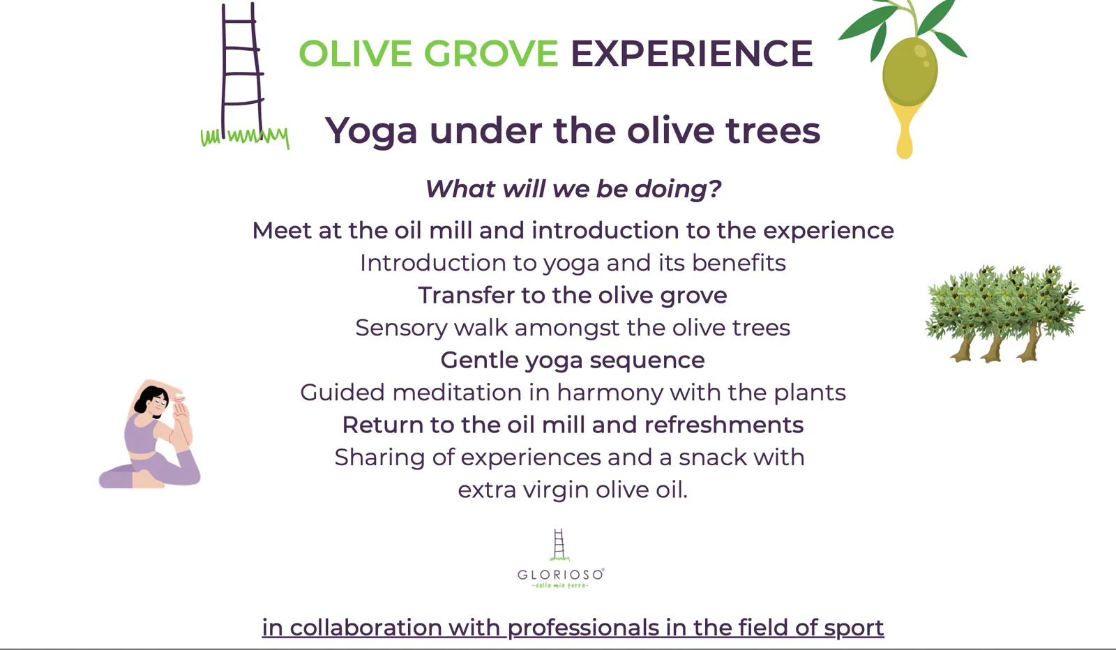 Erlebnis im Bio-Olivenhain: Yoga unter dem Olivenbaum 