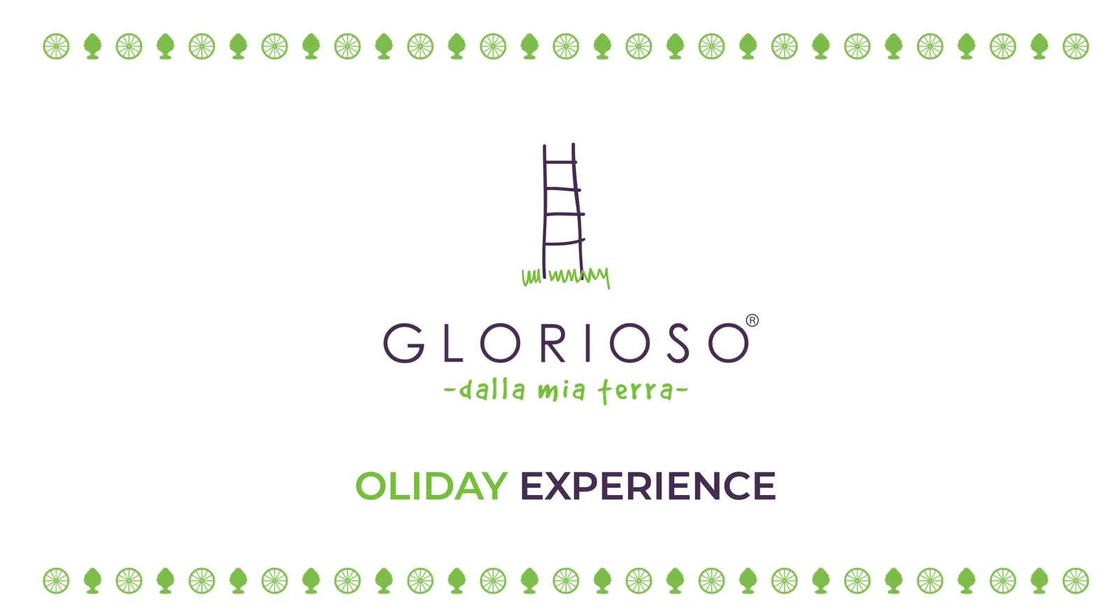 Oliday Experience_1
