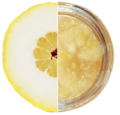Marmellata di Cedro: Zitronen, 200g, vegan