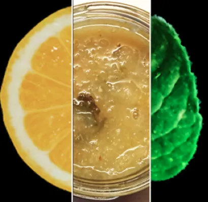 Marmellata di Limone e Nepetella: Zitrone & wilde Bergminze, 200g, vegan
