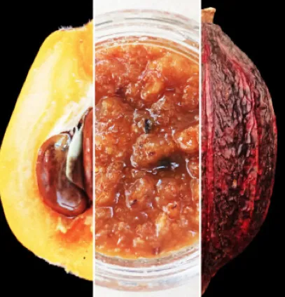 Marmellata di Nespola e Fave di Cacao: Mispel & Kakaobohnen, 200g, vegan