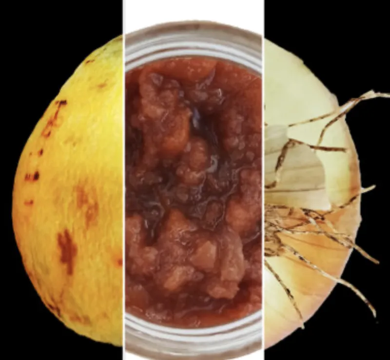 Sizilianisches Chutney aus Mispel & Zwiebel, 100g, vegan