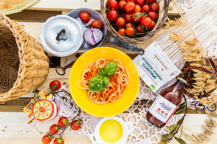 Bio Oliven Ernte in Sizilien