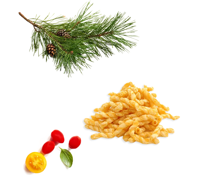 Busiate Pasta